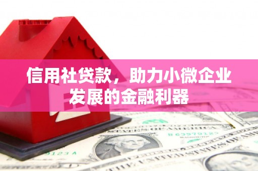 红原信用社贷款，助力小微企业发展的金融利器