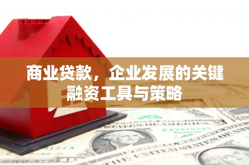 红原商业贷款，企业发展的关键融资工具与策略