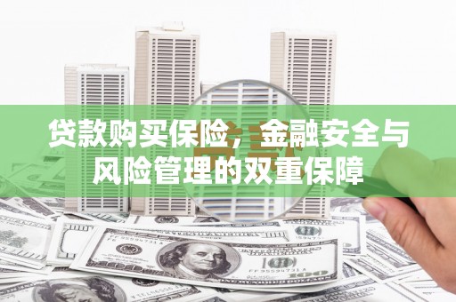 红原贷款购买保险，金融安全与风险管理的双重保障