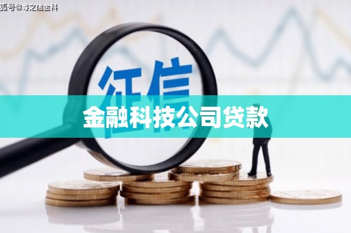 红原金融科技公司贷款
