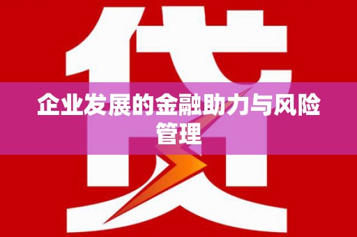 红原企业发展的金融助力与风险管理