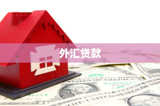 红原外汇贷款