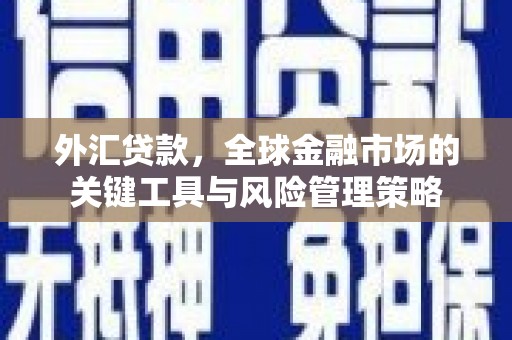 红原外汇贷款，全球金融市场的关键工具与风险管理策略