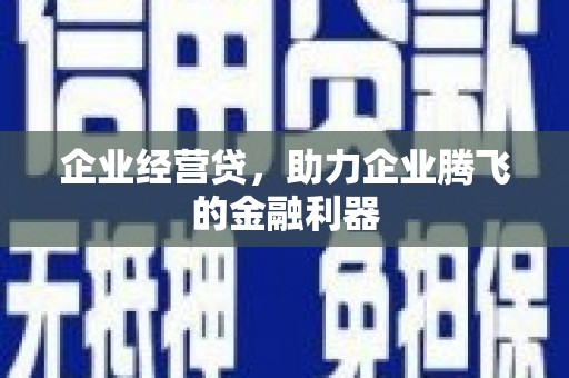 红原企业经营贷，助力企业腾飞的金融利器