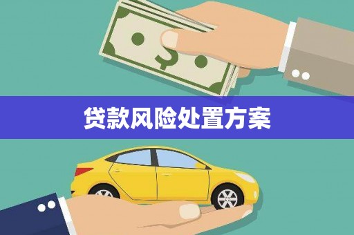 红原贷款风险处置方案