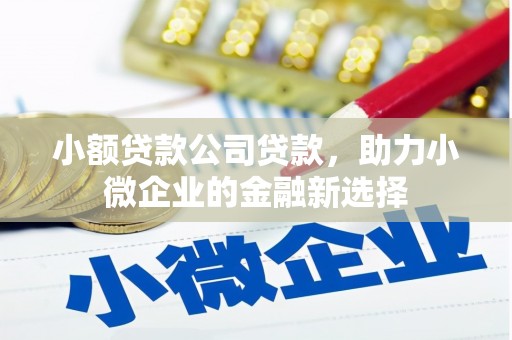 红原小额贷款公司贷款，助力小微企业的金融新选择