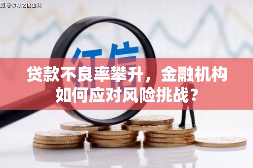 红原贷款不良率攀升，金融机构如何应对风险挑战？