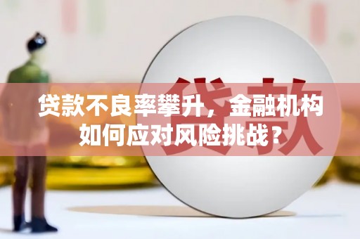 红原贷款不良率攀升，金融机构如何应对风险挑战？