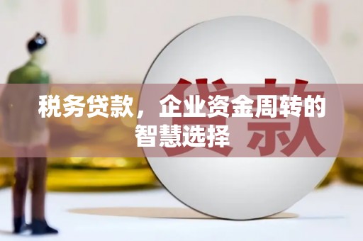 红原税务贷款，企业资金周转的智慧选择