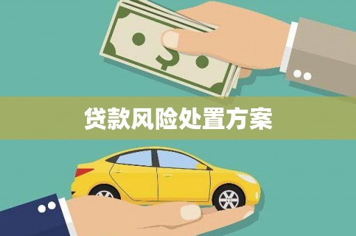 红原贷款风险处置方案