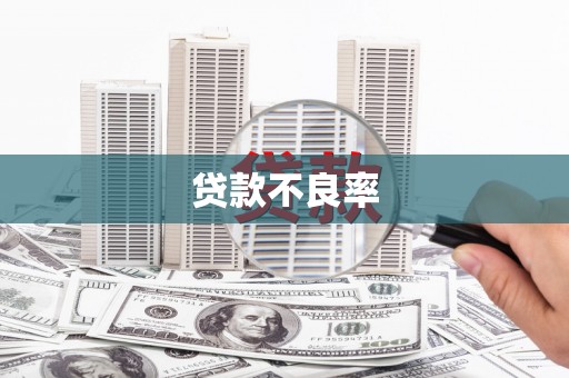 红原贷款不良率