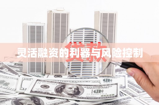 红原灵活融资的利器与风险控制