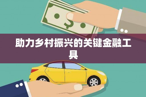 红原助力乡村振兴的关键金融工具