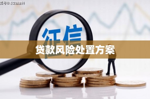 红原贷款风险处置方案