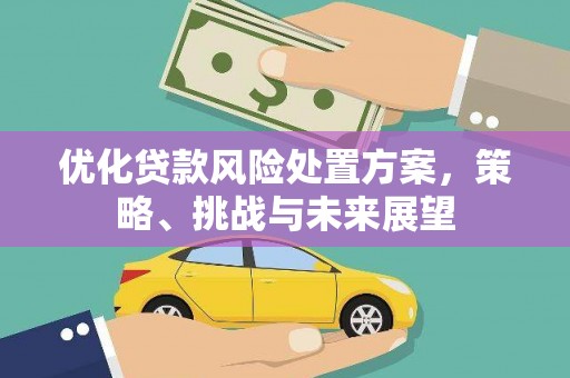 红原优化贷款风险处置方案，策略、挑战与未来展望
