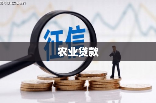 红原农业贷款