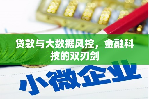 红原贷款与大数据风控，金融科技的双刃剑