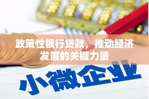 红原政策性银行贷款，推动经济发展的关键力量