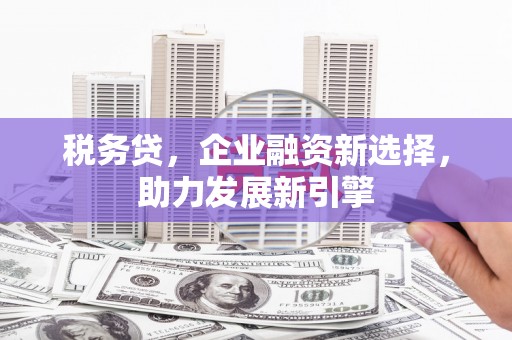 红原税务贷，企业融资新选择，助力发展新引擎