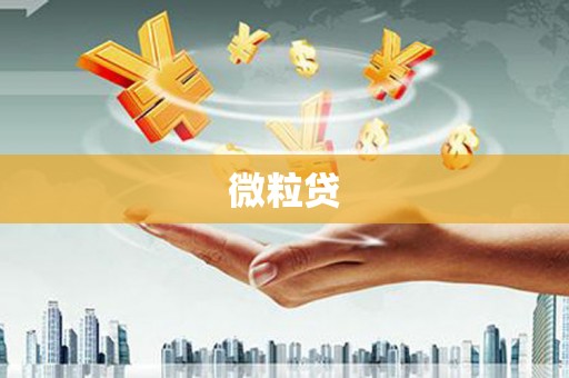 红原微粒贷