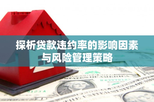 红原探析贷款违约率的影响因素与风险管理策略