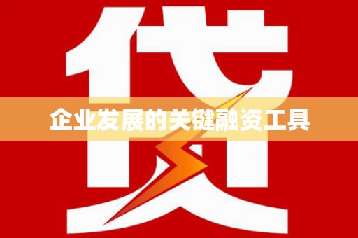 红原企业发展的关键融资工具