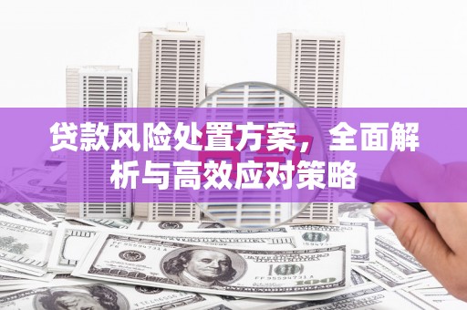 红原贷款风险处置方案，全面解析与高效应对策略