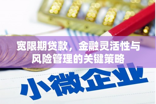 红原宽限期贷款，金融灵活性与风险管理的关键策略