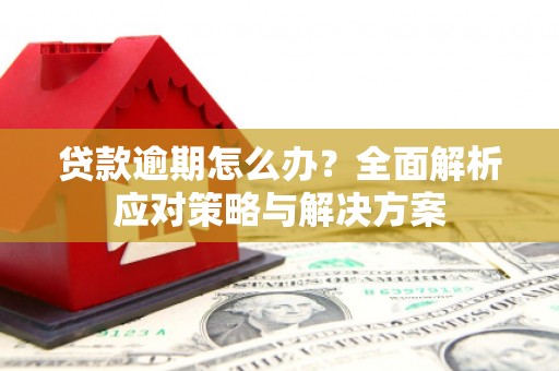 红原贷款逾期怎么办？全面解析应对策略与解决方案