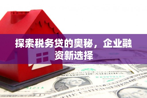 红原探索税务贷的奥秘，企业融资新选择