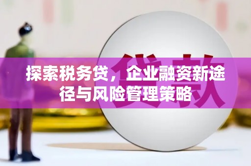 红原探索税务贷，企业融资新途径与风险管理策略