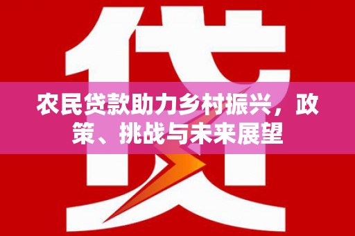红原农民贷款助力乡村振兴，政策、挑战与未来展望