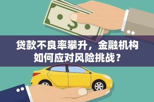 红原贷款不良率攀升，金融机构如何应对风险挑战？