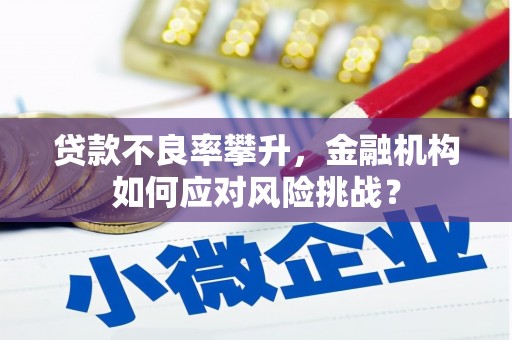 红原贷款不良率攀升，金融机构如何应对风险挑战？