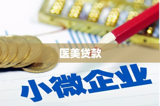 红原医美贷款