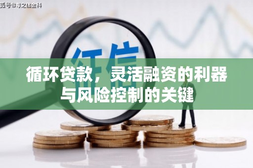 红原循环贷款，灵活融资的利器与风险控制的关键
