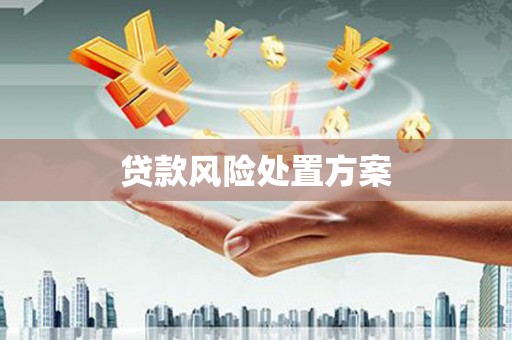 红原贷款风险处置方案