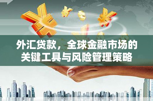 红原外汇贷款，全球金融市场的关键工具与风险管理策略