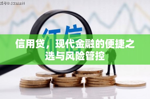 红原信用贷，现代金融的便捷之选与风险管控