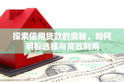 红原探索信用贷款的奥秘，如何明智选择与高效利用