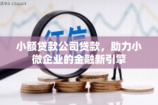 红原小额贷款公司贷款，助力小微企业的金融新引擎