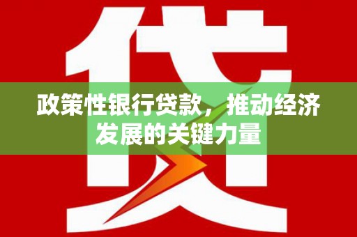 红原政策性银行贷款，推动经济发展的关键力量