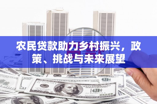 红原农民贷款助力乡村振兴，政策、挑战与未来展望
