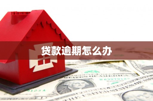 红原贷款逾期怎么办