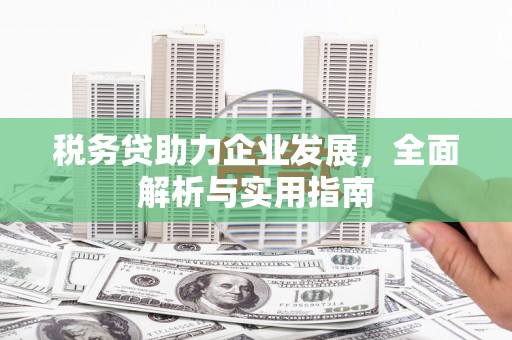 红原税务贷助力企业发展，全面解析与实用指南