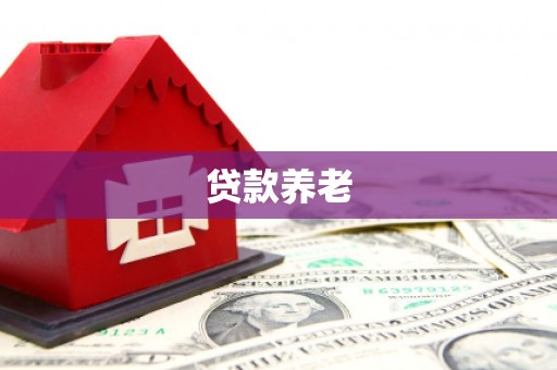 红原贷款养老