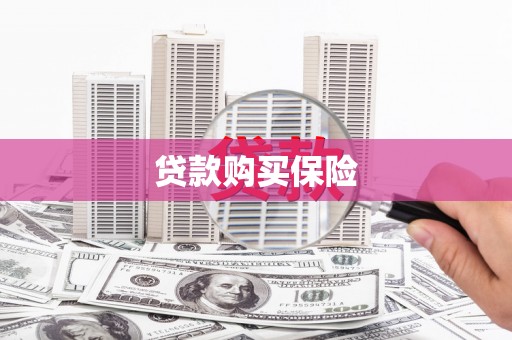 红原贷款购买保险
