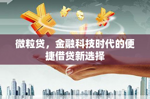 红原微粒贷，金融科技时代的便捷借贷新选择