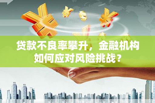 红原贷款不良率攀升，金融机构如何应对风险挑战？