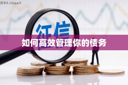 红原如何高效管理你的债务
